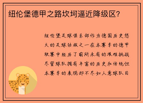 纽伦堡德甲之路坎坷逼近降级区？